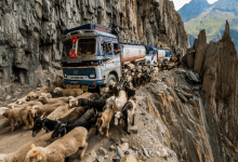 Top 10 Most Dangerous Roads in the World