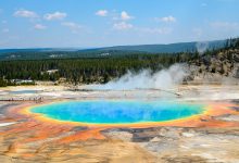 yellowstone national park