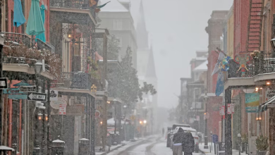 Historic Snowstorm Hits Florida Gulf Coast, Breaking Records